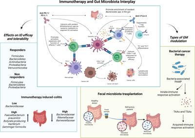 Editorial: Microbiota and metabolites in cancer immunotherapy